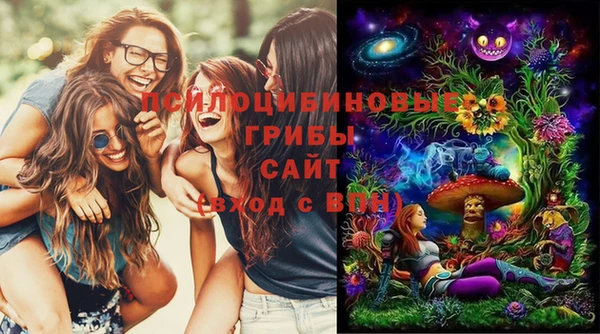 не бодяженный Арсеньев