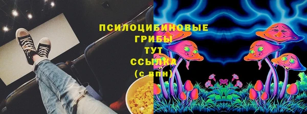 не бодяженный Арсеньев