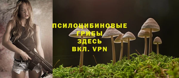 не бодяженный Арсеньев
