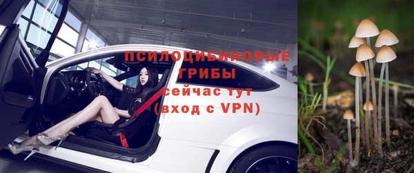 бошки Армянск