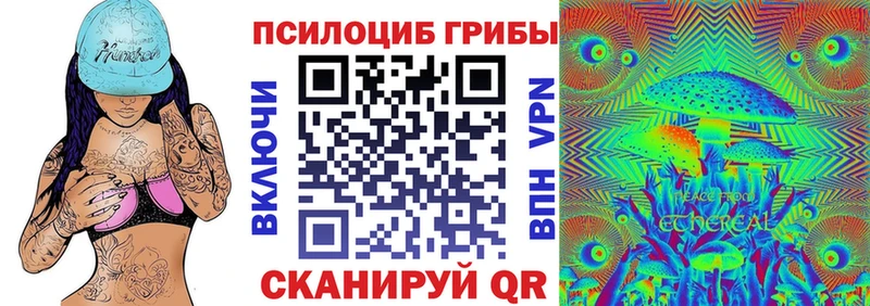Купить  Новокубанск  Галлюциногенные грибы Psilocybe 